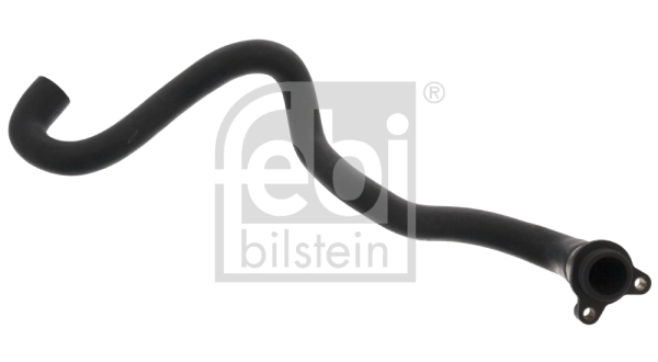 Radiator Hose